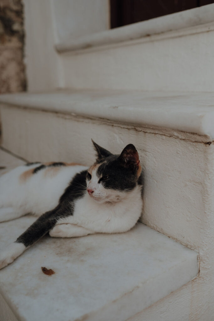 Fotografin in Klagenfurt für moderne, stilvolle und ungestellte Fotos